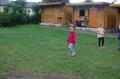687ff0fe639a46.61153911.jpg