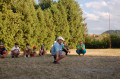 6a5bdf902670e9.71550848.jpg