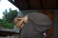 6a5dd59398ad89.53089383.jpg