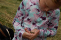 6a5e782ea8a801.12009911.jpg