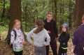 6a5e78389fffe3.39556390.jpg