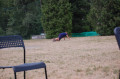 6a5fe9a82689c9.15189034.jpg