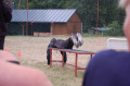 6a5fe9a8a0c013.72975629.jpg