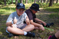 6a652a5bd69923.86683219.jpg