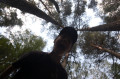 6a6664face5975.43684468.jpg