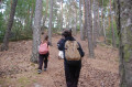 6a67bf31067cc7.04120358.jpg